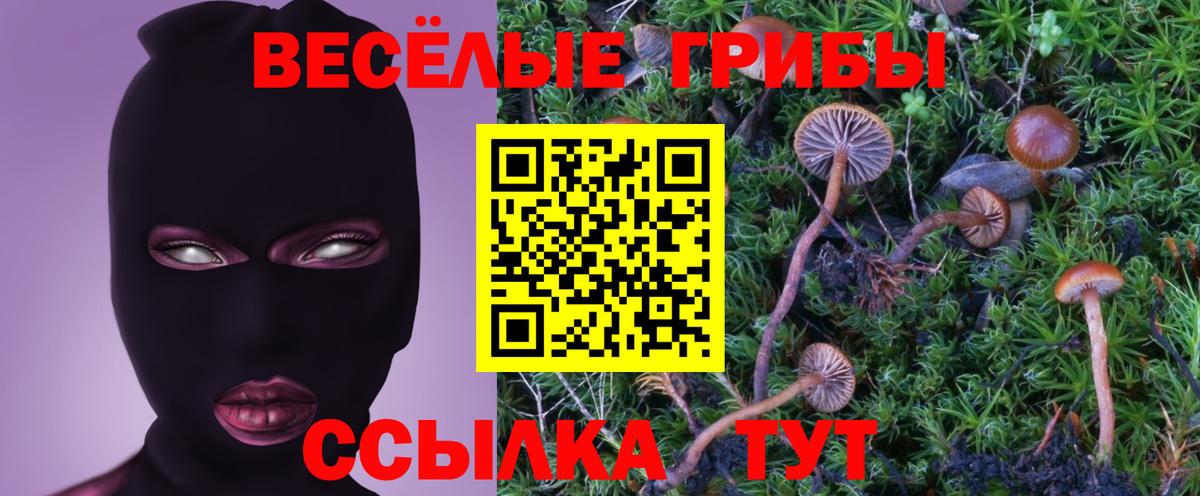 Псилоцибиновые грибы прущие грибы Нарткала
